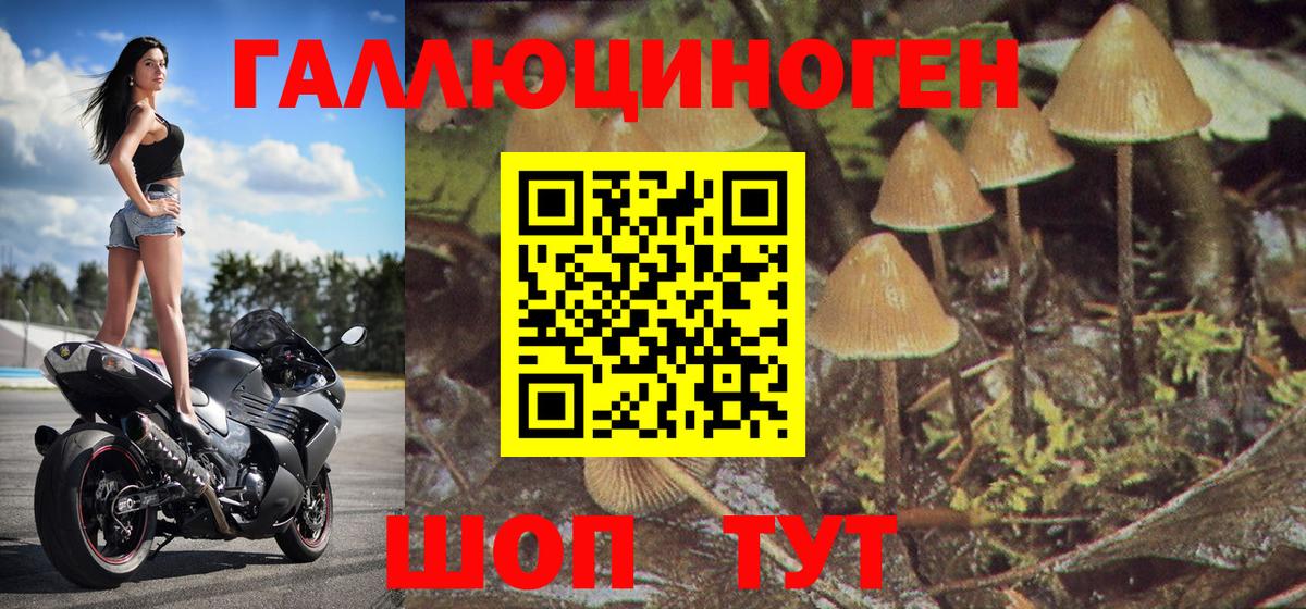 Галлюциногенные грибы Magic Shrooms Рассказово